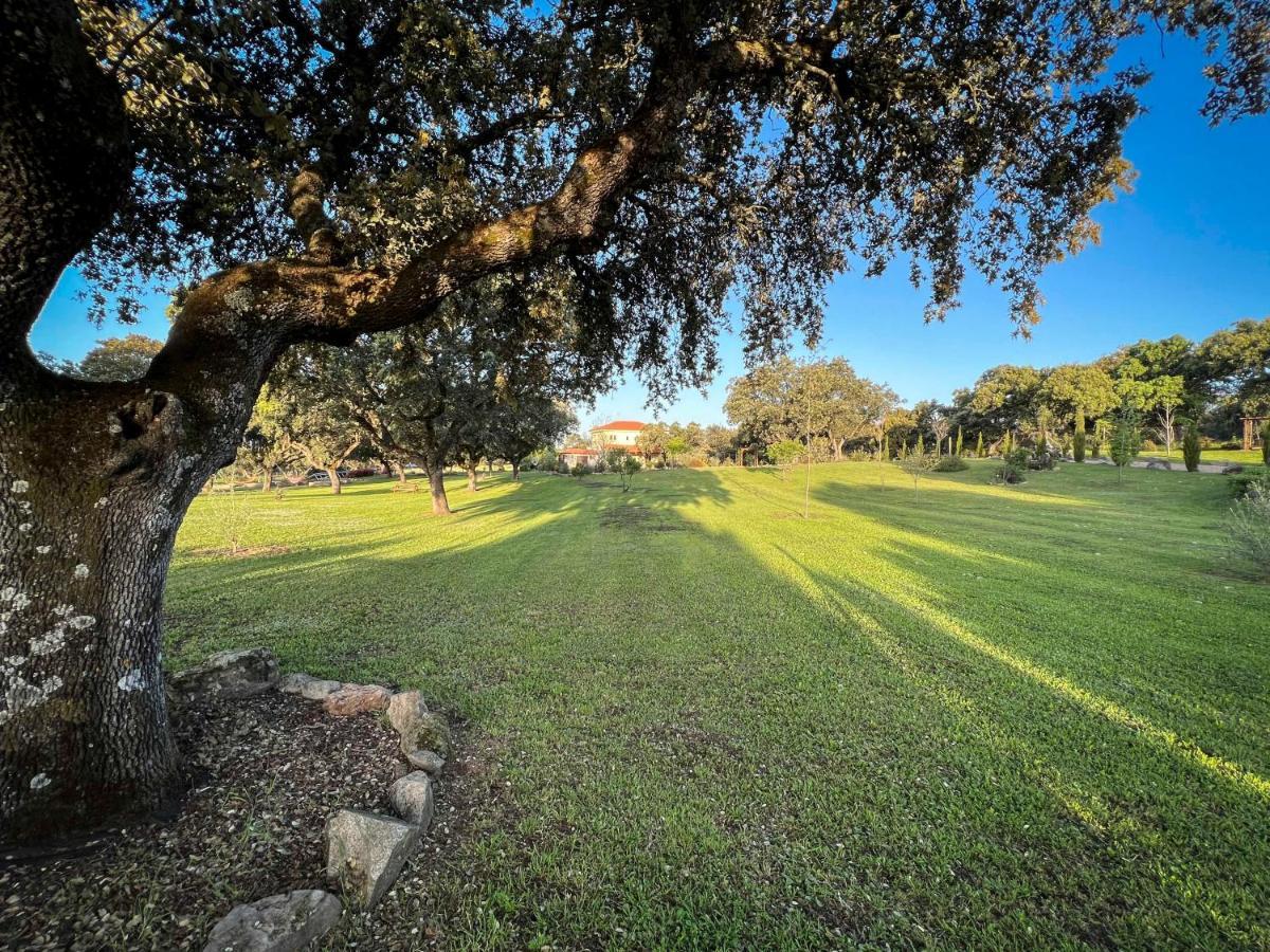拉伊格莱苏埃拉La Encina Guapa Casa Rural 20,000M2 De Intimidad别墅 外观 照片