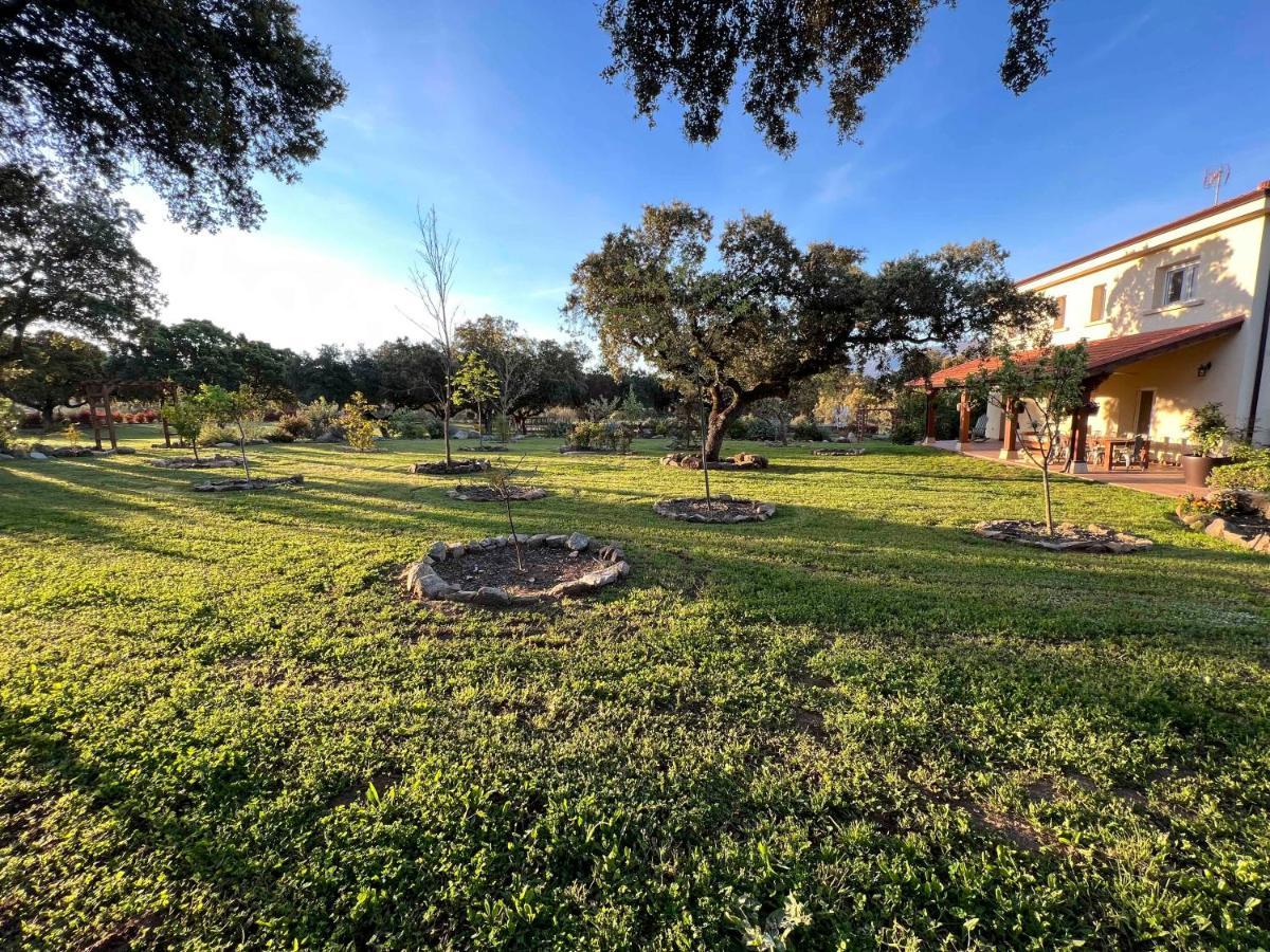 拉伊格莱苏埃拉La Encina Guapa Casa Rural 20,000M2 De Intimidad别墅 外观 照片