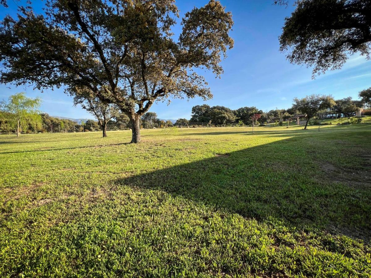 拉伊格莱苏埃拉La Encina Guapa Casa Rural 20,000M2 De Intimidad别墅 外观 照片